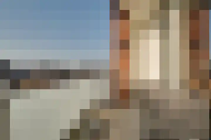 Johan van Gheelborg 18 Spanbroek thumbnail 29