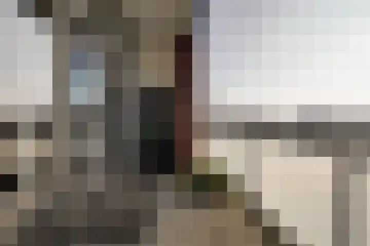 Johan van Gheelborg 18 Spanbroek thumbnail 30