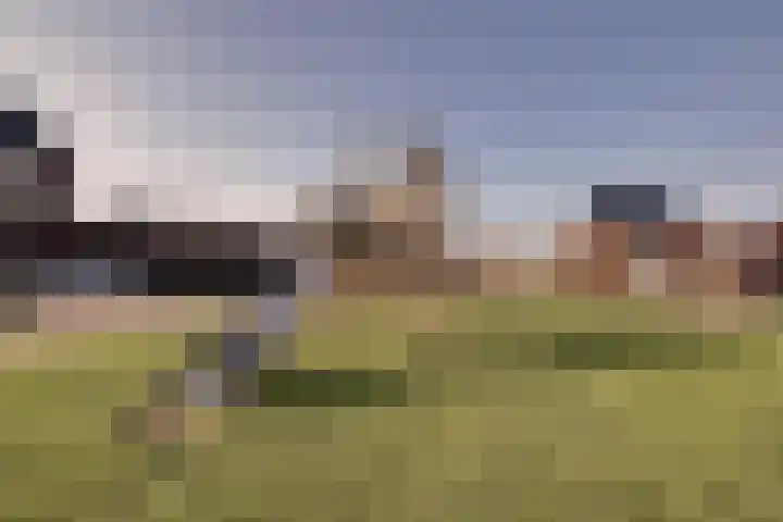 Johan van Gheelborg 18 Spanbroek thumbnail 48