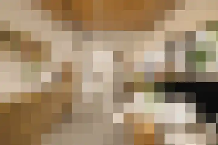 Johan van Hasseltkade 227 B Amsterdam thumbnail 11