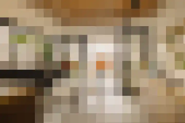 Johan van Hasseltkade 227 B Amsterdam thumbnail 17