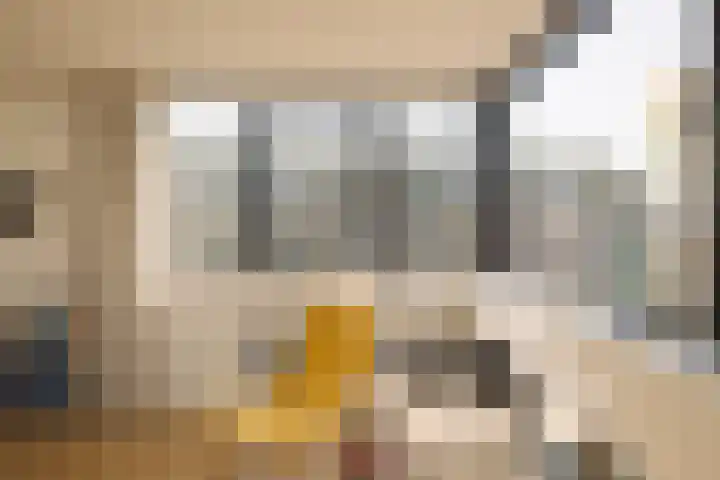 Johan van Hasseltkade 227 B Amsterdam thumbnail 20