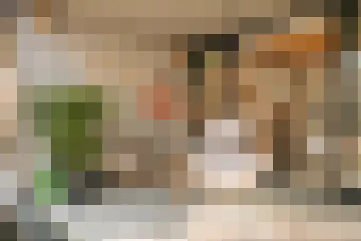 Johan van Hasseltkade 227 B Amsterdam thumbnail 4