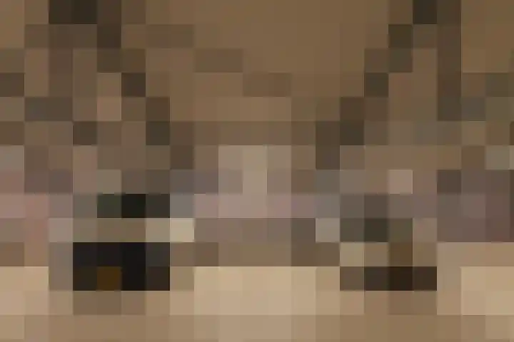 Johan van Hasseltkade 227 B Amsterdam thumbnail 44