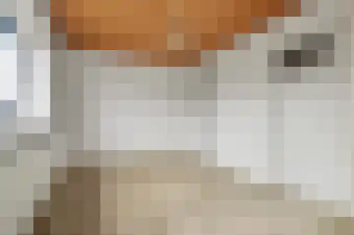 Johan van Kleefstraat 8 Molenhoek thumbnail 25