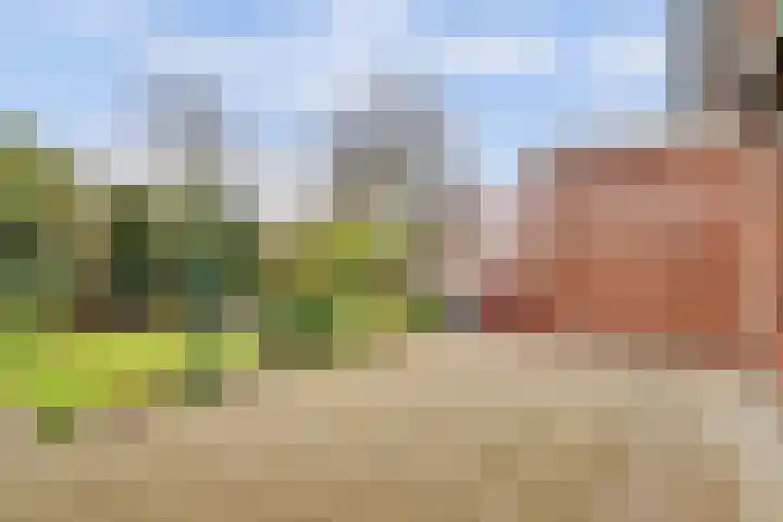Johan van Kleefstraat 8 Molenhoek thumbnail 42