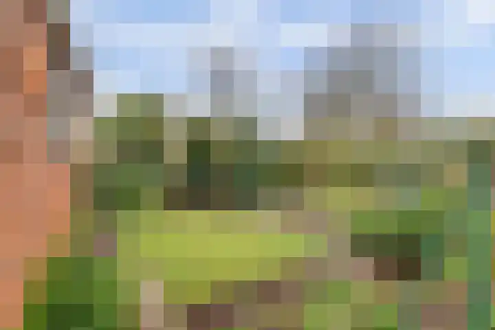 Johan van Kleefstraat 8 Molenhoek thumbnail 43