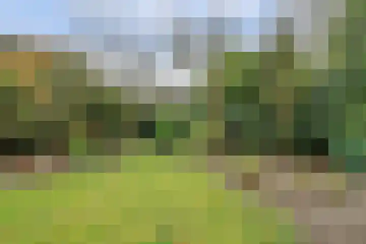 Johan van Kleefstraat 8 Molenhoek thumbnail 45