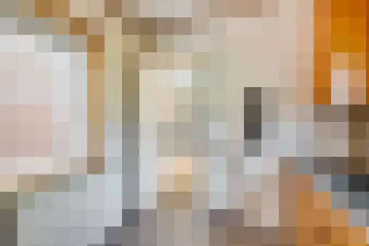Johan van Reesstraat 1 Enschede thumbnail 10