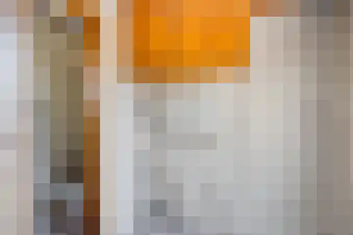 Johan van Reesstraat 1 Enschede thumbnail 12