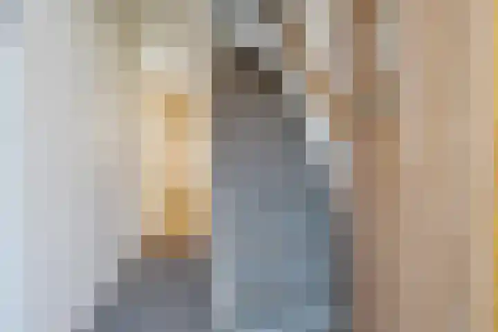 Johan van Reesstraat 1 Enschede thumbnail 15