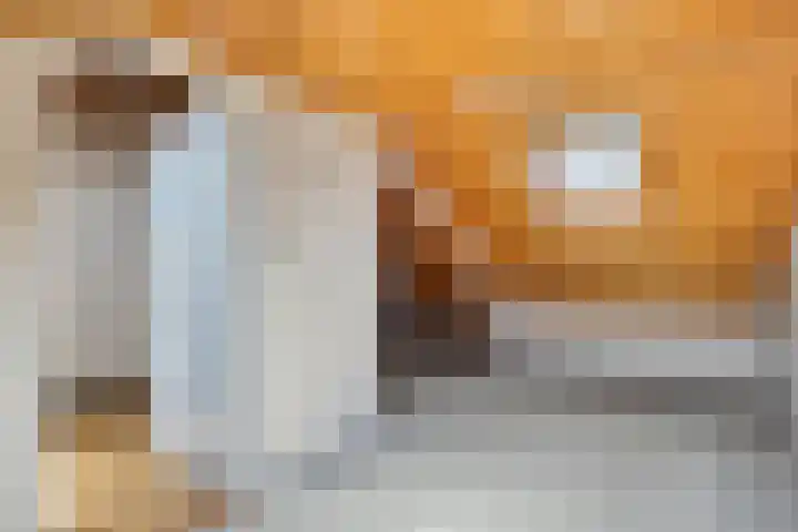 Johan van Reesstraat 1 Enschede thumbnail 25
