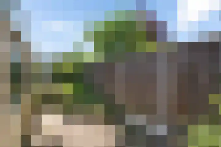 Johan van Reesstraat 1 Enschede thumbnail 32