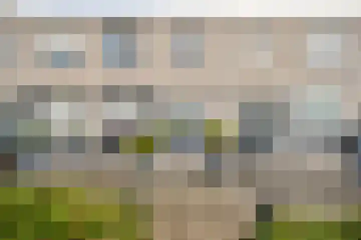 Johanna Engwirda-Agricolastraat 81 dans Spijkenisse