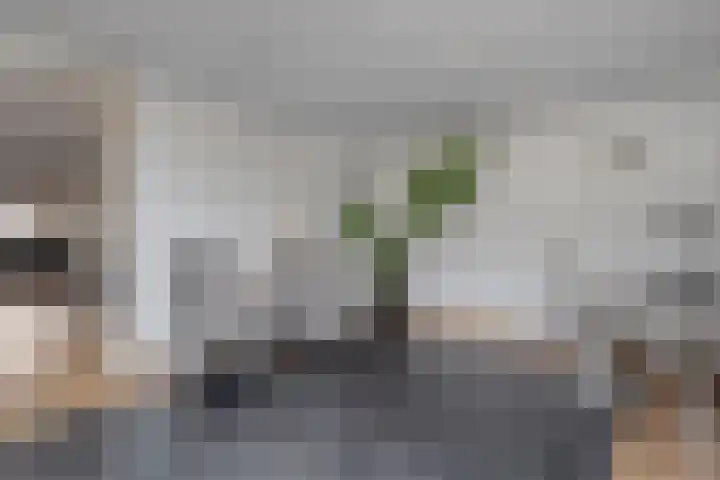 Johannalaan 5 Heeten thumbnail 22