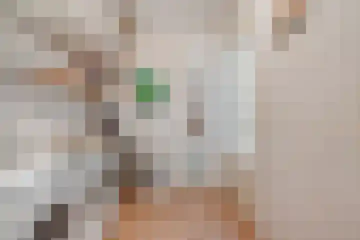 Johannalaan 5 Heeten thumbnail 25