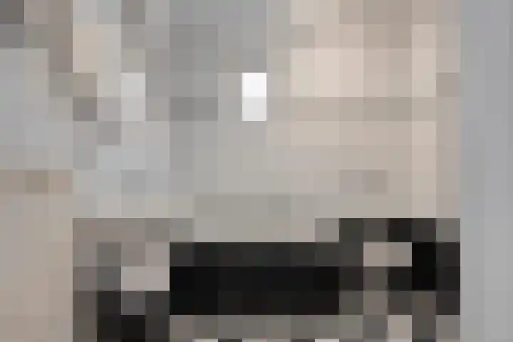 Johannalaan 5 Heeten thumbnail 35