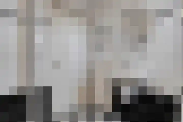 Johannalaan 5 Heeten thumbnail 36