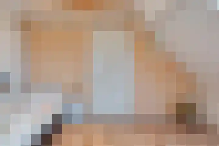 Johannalaan 5 Heeten thumbnail 40
