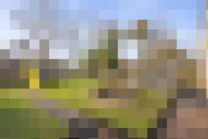 Johannalaan 5 Heeten thumbnail 45