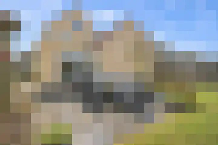 Johannalaan 5 Heeten thumbnail 47