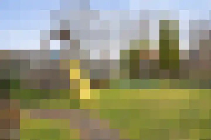 Johannalaan 5 Heeten thumbnail 50