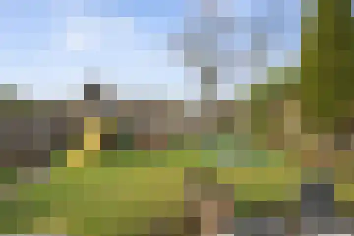 Johannalaan 5 Heeten thumbnail 53