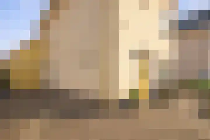 Johannalaan 5 Heeten thumbnail 55
