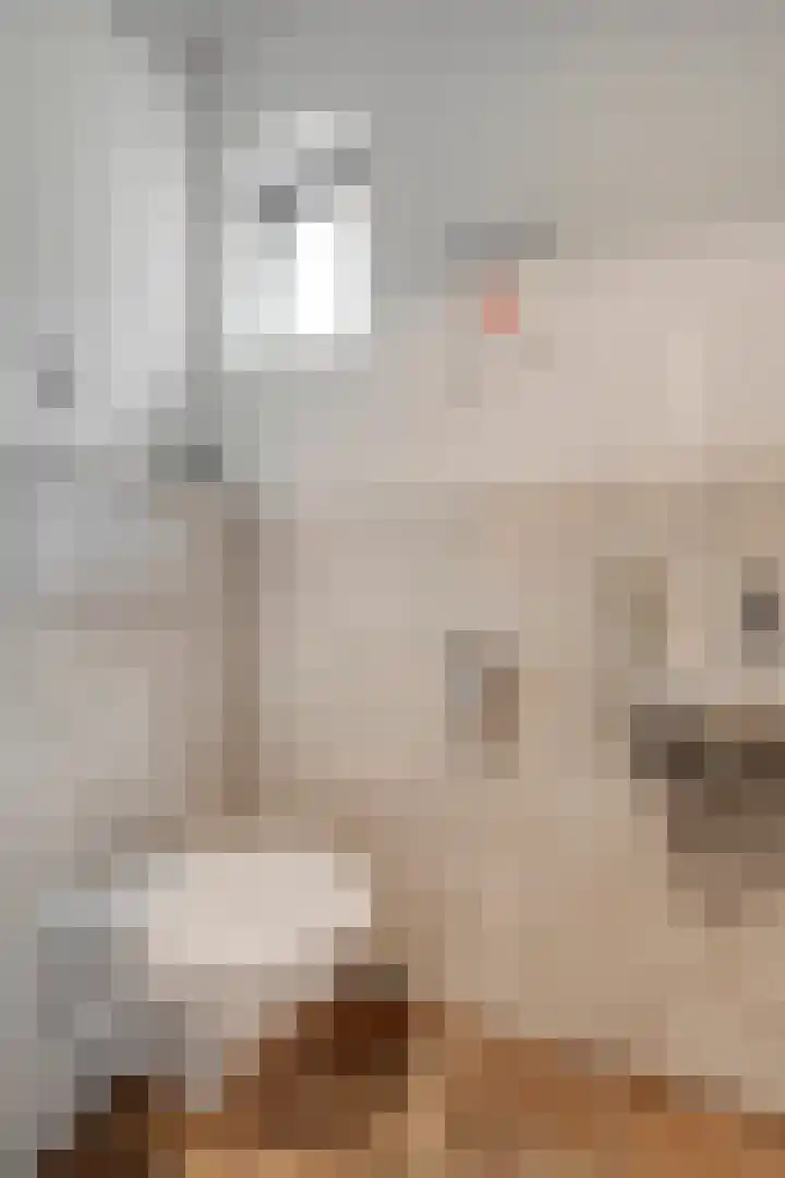 Johannalaan 5 Heeten thumbnail 7
