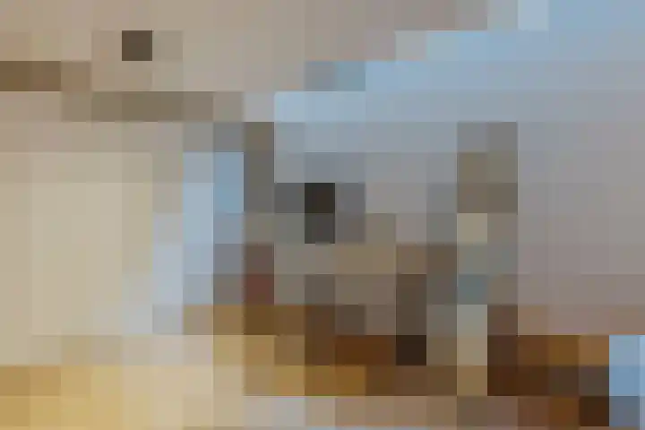 John Blankensteinstraat 167 A Amsterdam thumbnail 32