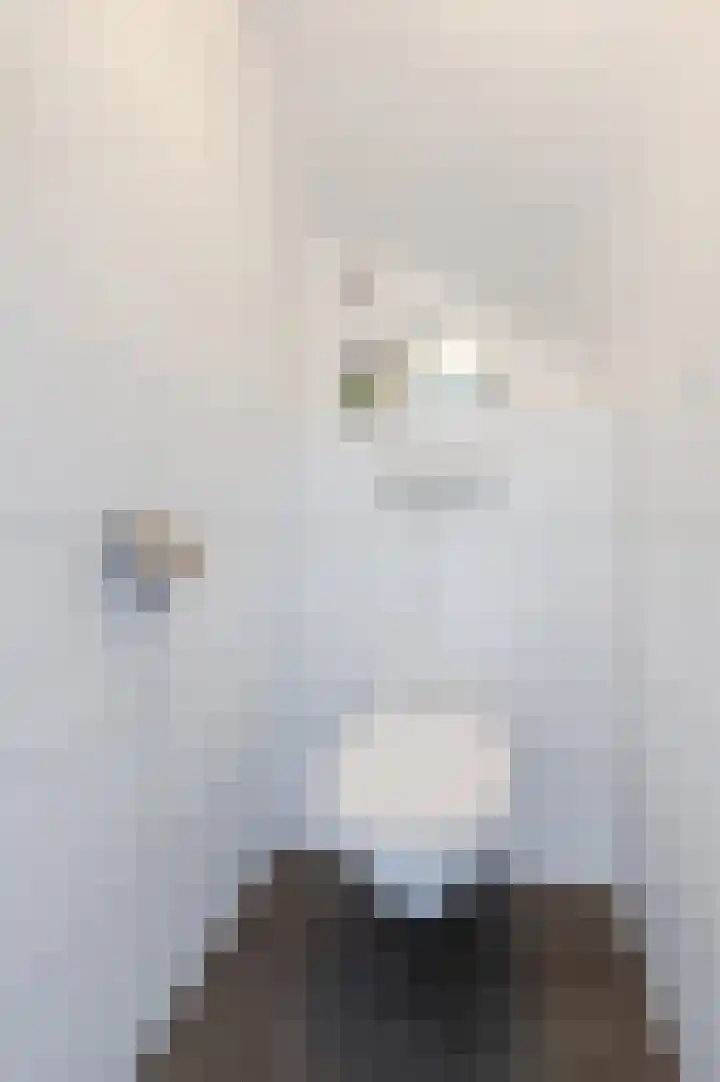 John Davisstraat 19 Geldrop thumbnail 11