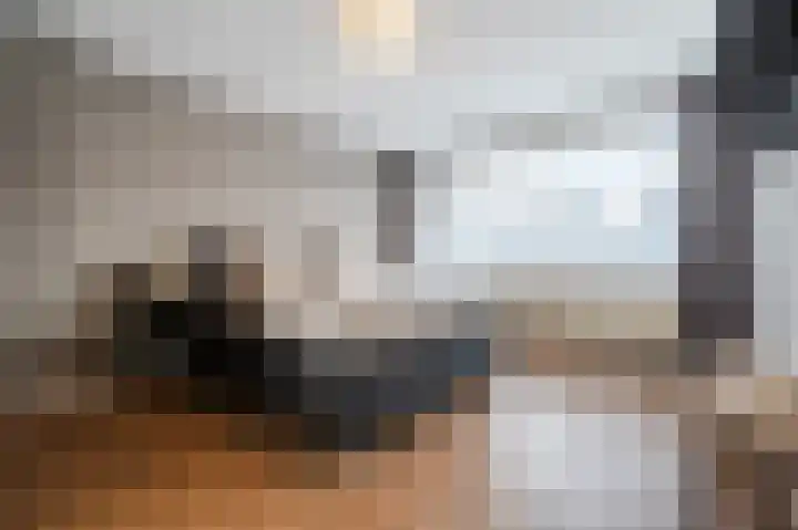 John Davisstraat 19 Geldrop thumbnail 14