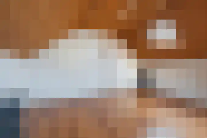 John Davisstraat 19 Geldrop thumbnail 25