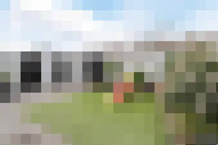John Davisstraat 19 Geldrop thumbnail 30
