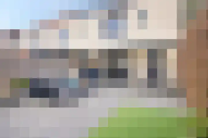 John Denverlaan 39 Goes thumbnail 21