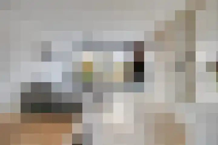 John Denverlaan 39 Goes thumbnail 5