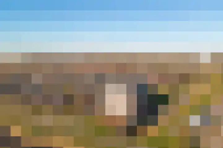 John Denverlaan 48 Goes thumbnail 37