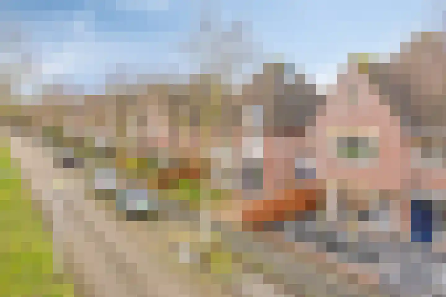 John Miltonlaan 2 Eindhoven thumbnail 74