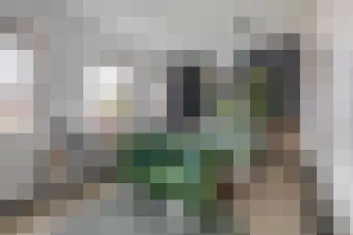John Sousarode 29 Zoetermeer thumbnail 15