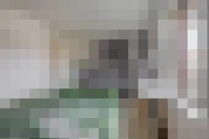John Sousarode 29 Zoetermeer thumbnail 16