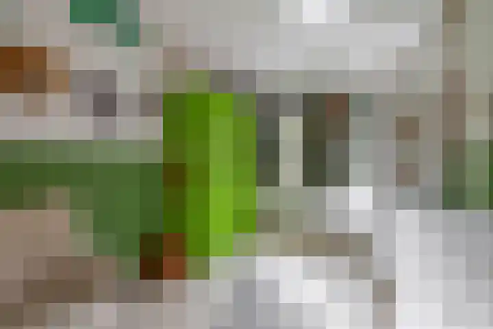 John Sousarode 29 Zoetermeer thumbnail 18