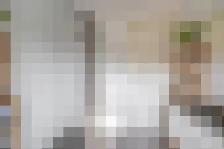 John Sousarode 29 Zoetermeer thumbnail 22