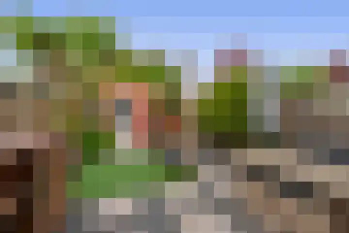 John Sousarode 29 Zoetermeer thumbnail 28