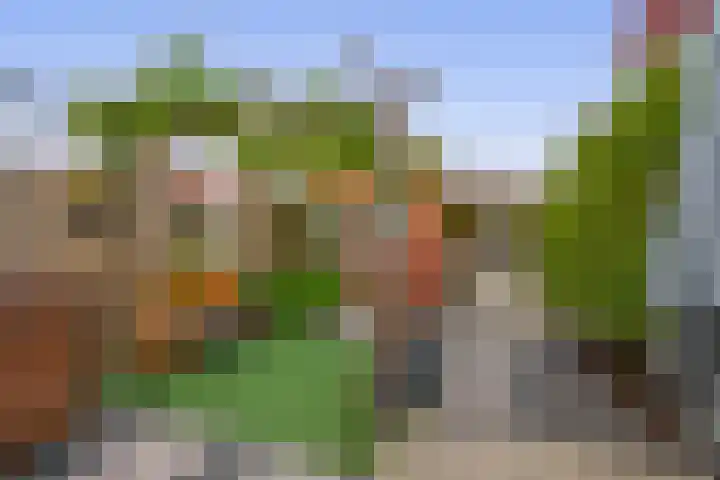 John Sousarode 29 Zoetermeer thumbnail 29