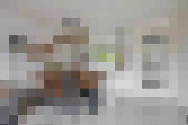 John Sousarode 29 Zoetermeer thumbnail 9