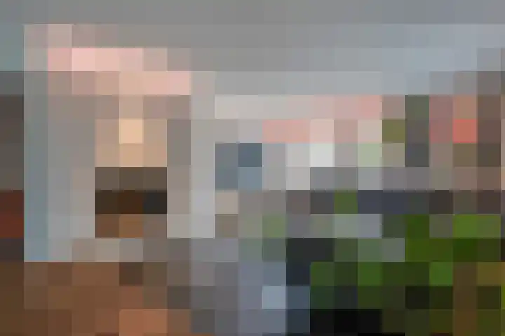 Joinerstraat 27 Linne thumbnail 14