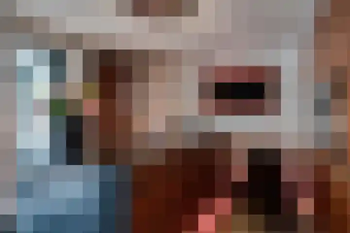 Joinerstraat 27 Linne thumbnail 20