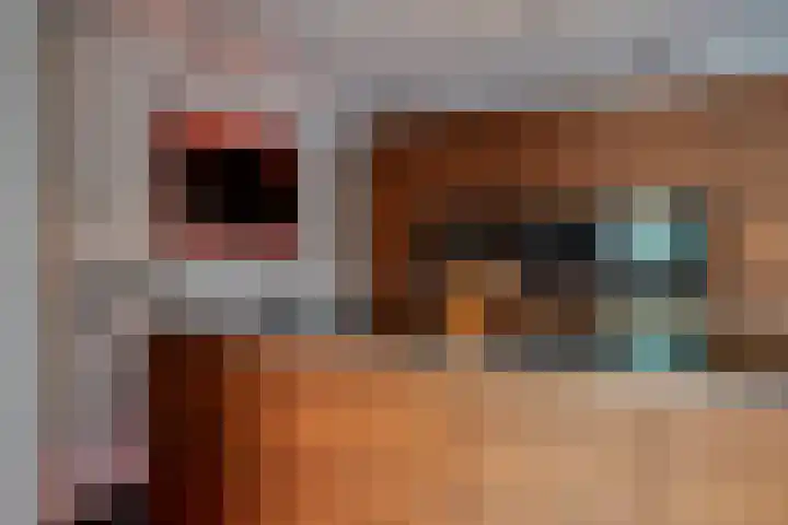 Joinerstraat 27 Linne thumbnail 21