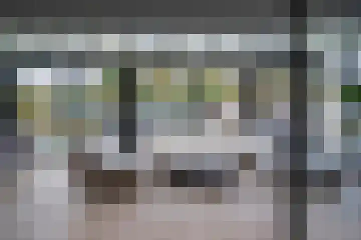 Joinerstraat 27 Linne thumbnail 24