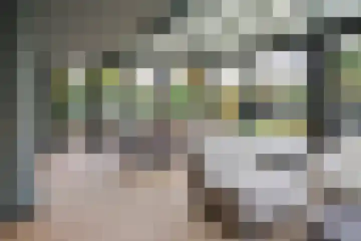 Joinerstraat 27 Linne thumbnail 25